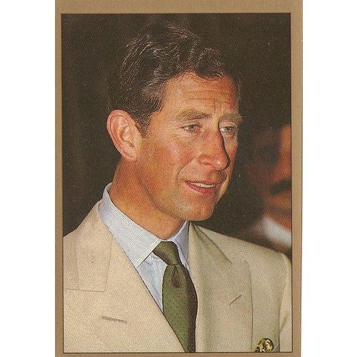 Panini's The Royal Family 1991 Sticker Collection - Sticker No. 14