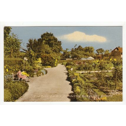 The Rose Garden Camberley Recreation Ground Postcard Surrey