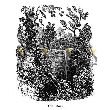 Old Roar (Gill), Near Hastings, Sussex, England, 1840, MODERN REPRODUCTION