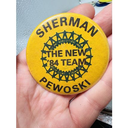 Lot of 10 VTG Misc Political Pins Pinbacks Buttons Pewoski, Zary, Stockwell,USCA