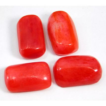 Natural 35.50 Ct Italian Red Coral "Cabochon" Cut Loose Gemstone Lot