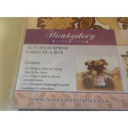 Hunkydory Cards in a Box Kit - Autumn Surprise - NEW