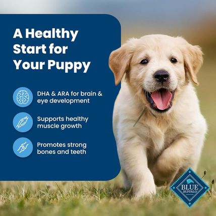 Blue Buffalo Life Protection Formula Puppy Dry Dog Food, Chicken & Brown Rice, 3