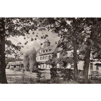Rudesheim Am Rhein Waldhotel Jagdschloss Niederwald RPC Postcard