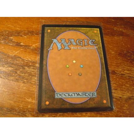 Magic The Gathering, MTG, 1-Cards, 1993-2009, SUNPETAL GROVE, nm