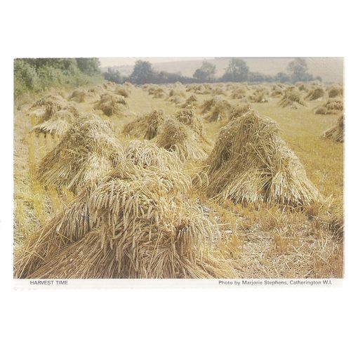 HARVEST TIME, Catherington W.I. vintage postcard unposted Hampshire W.I. =