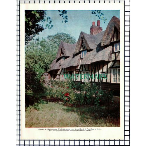 (7126) Shalford Wethersfield Essex Cottages - 1964 Cutting