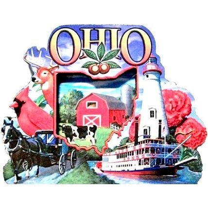Ohio Montage Artwood Fridge Magnet
