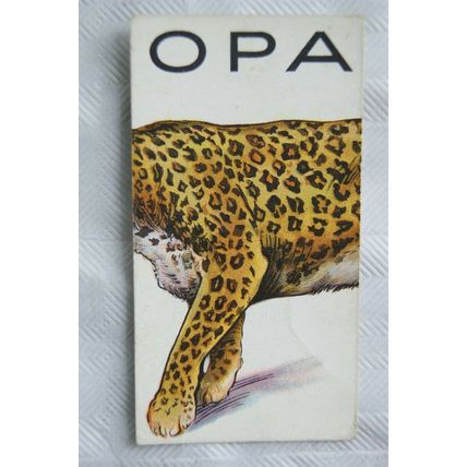 1929 Wills cigarette card Animalloys No. 20