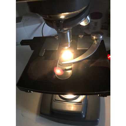 BAUSCH & LOMB MICROSCOPE,SODEXO 00FB-73230,PHILIPS MEDICARE 0682,AL