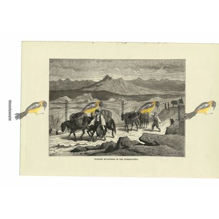Turkish Muleteers In Herzegovina, Book Illustration (Print), 1880