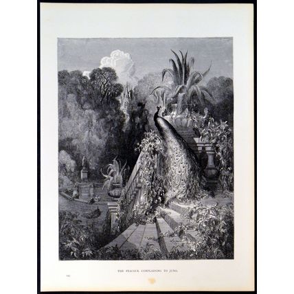 PEACOCK COMPLAINING TO JUNO 1885 Gustave Doré - La Fontaine ANTIQUE ENGRAVING