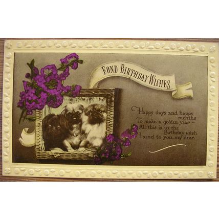 1949 postcard Fond Birthday Wishes + Dogs
