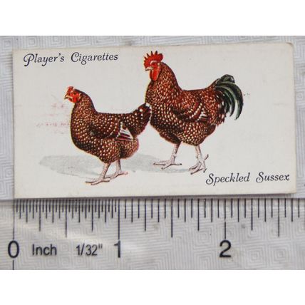 1931 John Player & Sons Poultry No. 45 Speckled Sussex