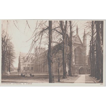 Winchester Cathedral & Avenue Hampshire Postcard (QHAM315)