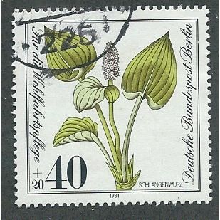 BERLIN -1981 40pf +20 'HUMANITARIAN - WILD FLOWERS' FINE USED (EBID44-838)