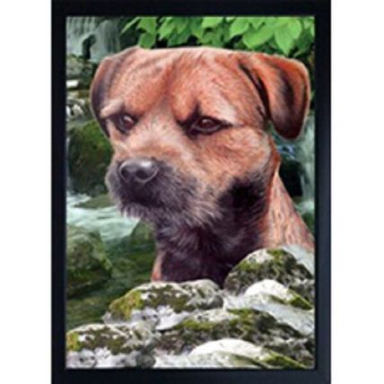 BORDER TERRIER 3D FRIDGE MAGNET lovely gift for a border lover