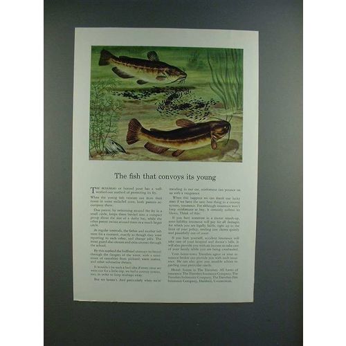 1942 Travelers Insurance Ad w/ Bullhead - Horned Pout