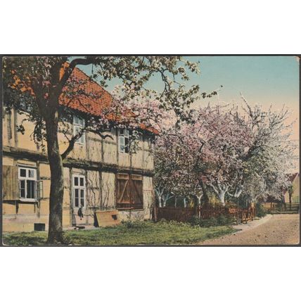 The House with the Cherry Blossoms, 1914 - Postcard