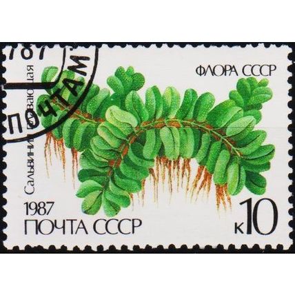 Russia. 1987 10k S.G.5775 Used
