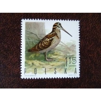 Poland 1970 Game Birds Eurasian woodcock mint stamp SG1970