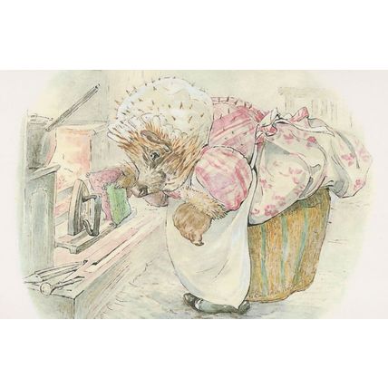 The Tale Of Miss Tiggy Winkle 1905 Beatrix Potter Book Postcard