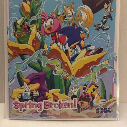 2024 IDW Comics Sonic the Hedgehog Spring Broken One Shot #1
