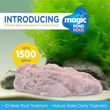 Magic Pond Rocks, Fish Tank Rocks for Enhancing Water Clarity with Your Regular