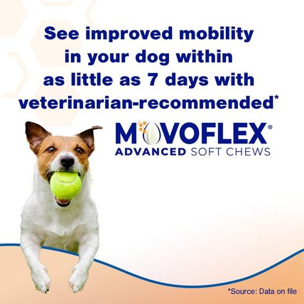 Advanced Soft Chews Hip and Joint Support Supplement for Medium Dogs 60 Count by