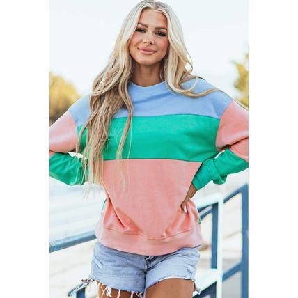 Blossom Colorblock Patchwork Drop Shoulder Sweatshirt