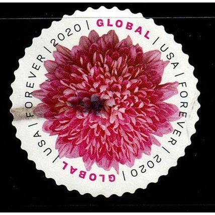 USA 2020 Flowers Used Stamp