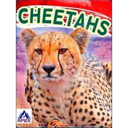 Wild Cats