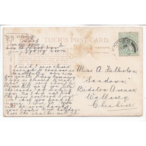Horse Artist Signed Paul Thomas 1905 Oilette Art Postcard