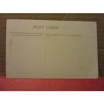 WELLINGTON PIER GARDENS, GREAT YARMOUTH, NORFOLK unused antique postcard =