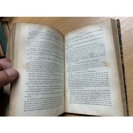 RARE* ANTIQUE CHATEAUBRIAND "LES MARTYRS" RELIGIOUS FRENCH BOOK (P4)