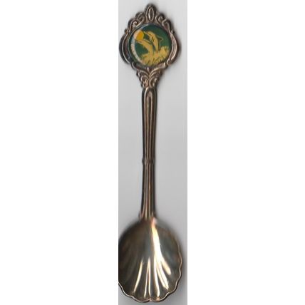 VINTAGE GOLDCOAST QUEENSLAND SOUVENIR SPOON
