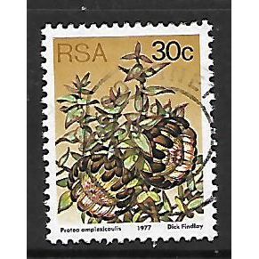SOUTH AFRICA 1977 SUCCULENTS 30c P AMPLEXICALIS SG 427 FINE USED#