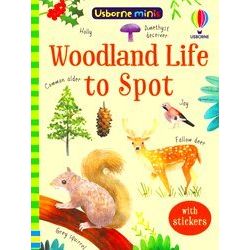 Woodland Life To Spot Usborne Mini Books Usborne Minis