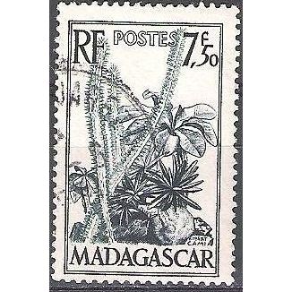 Madagascar 1954 Michel 423 O Cote (2005) 0.40 € Didiera madagascariensis