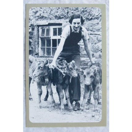 c.1980s PC Land Girl & Calves, St Agnes, Cornwall, c.1940