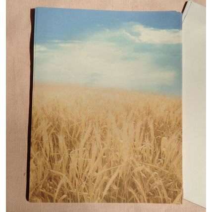 Wheat Field Letterhead Paper Stationery 65 Pieces Craft Note Designer Printer