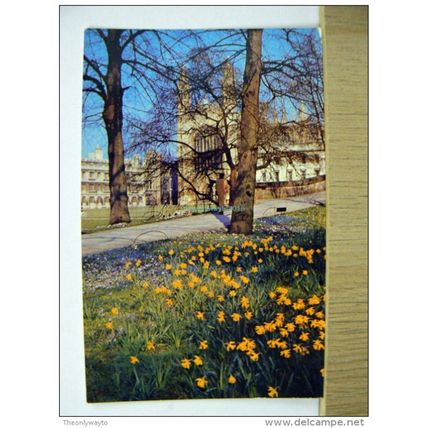 King's College Spring Flowers, Cambridge, England, Postcard