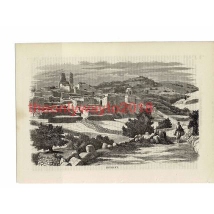 Bethany, Holy Land, Book Illustration (Print), 1861