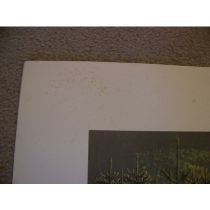 Stan Galli Bobcat & Kittens Print 20 X 22 3/4 Weyerhaueser Wildlife 1960'S
