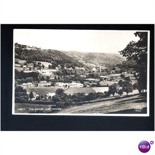Wales LLWYNMAWR Valley Postcard by Frith (LMR.7)