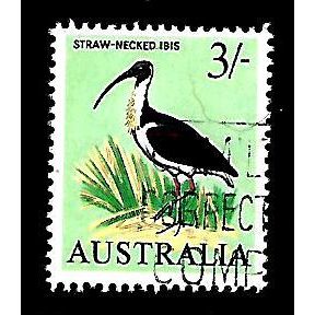 AUSTRALIA 1964 BIRDS 3s STRAW NECKED IBIS SG369 FINE USED
