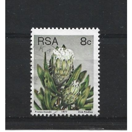 SouthAfrica.SG421 8c Protea Mundii.Fine Used.Sep25x