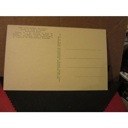 GROTTE DE FONT DE GAUME, FRANCE unused postcard cave paintings mammoth
