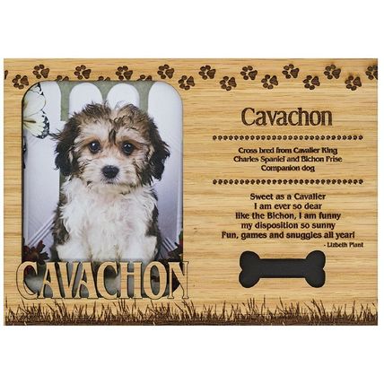 Cavachon Engraved Wood Picture Frame Magnet
