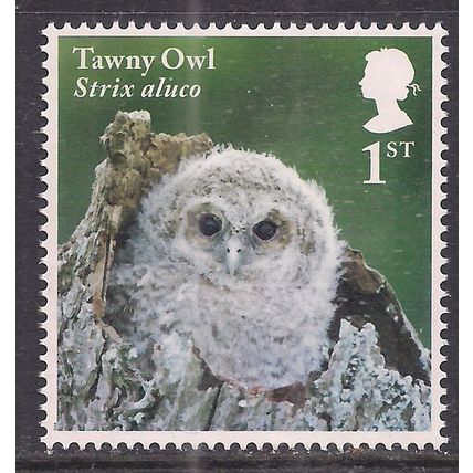 GB 2018 QE2 1st Owls ' Tawny Owl Chicks' Umm SG 4089 ( C132 )